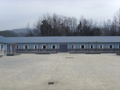 f07.jpg