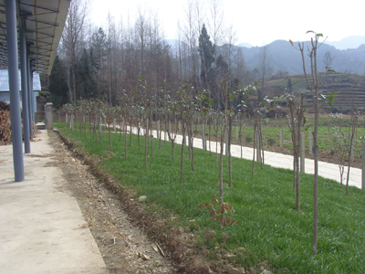 f08.jpg