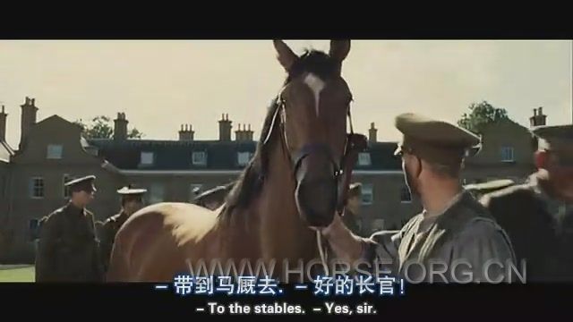 战马-悠悠鸟中英双字幕[(068312)17-06-21].JPG