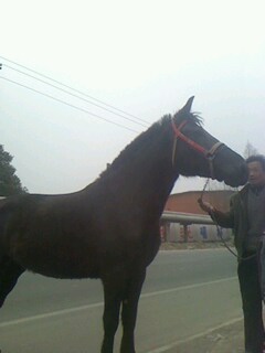 IMG0227173402.jpg