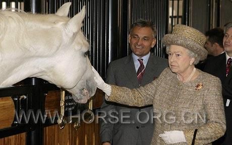 queen-horse-460_1013433c.jpg