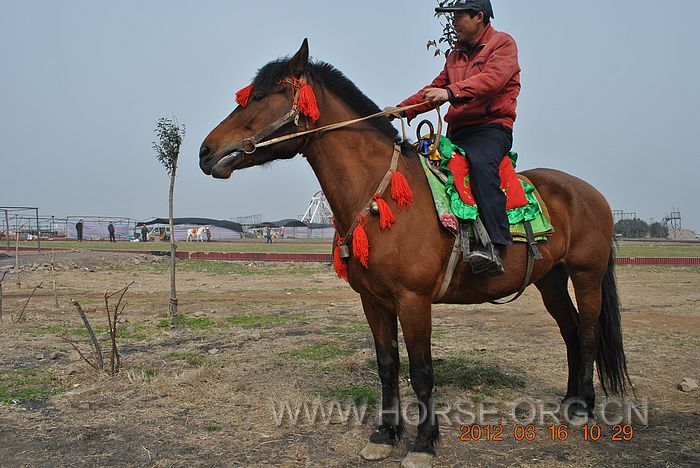 nEO_IMG_DSC_6643.jpg