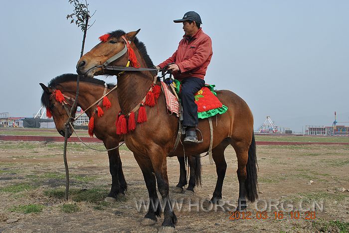 nEO_IMG_DSC_6642.jpg