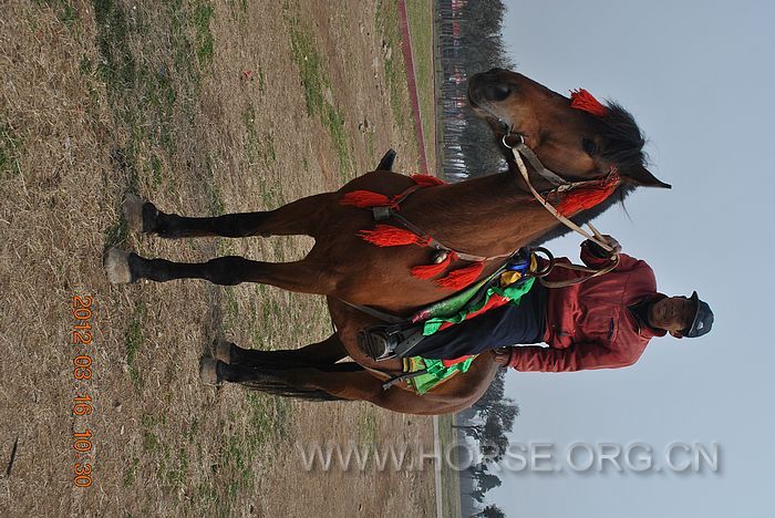 nEO_IMG_DSC_6651.jpg