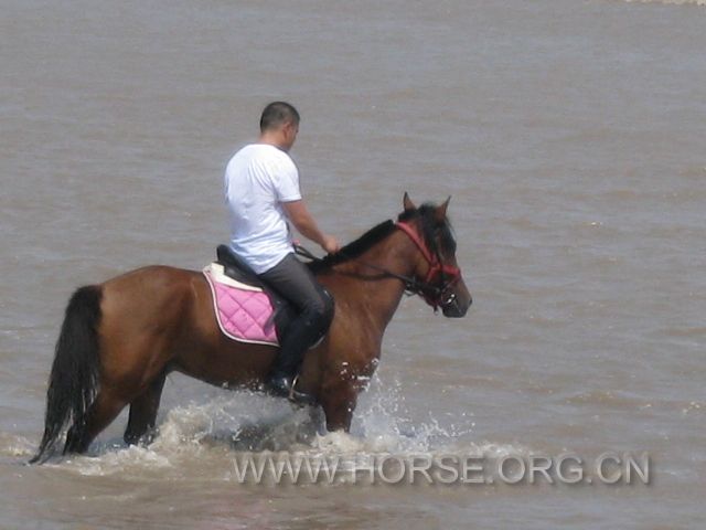 IMG_2168.JPG