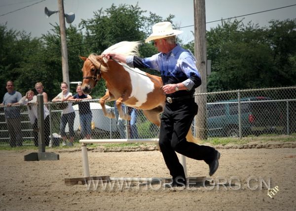 pooh jumping at pinto 9-05.jpg