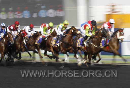 2012-03-31T125536Z_89985402_GM1E83V1MES01_RTRMADP_3_HORSE-RACING-DUBAI.JPG