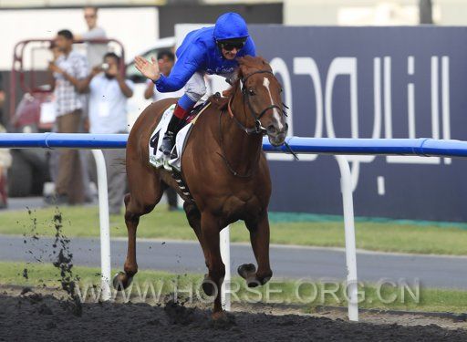 2012-03-31T134112Z_1218112973_GM1E83V1NSC01_RTRMADP_3_HORSE-RACING-DUBAI.JPG