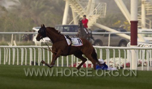 2012-03-31T141213Z_01_DUB18_RTRIDSP_3_HORSE-RACING-DUBAI.jpg