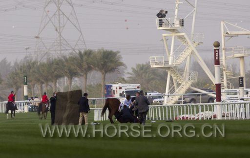 2012-03-31T141328Z_148559619_GM1E83V1PY701_RTRMADP_3_HORSE-RACING-DUBAI.JPG