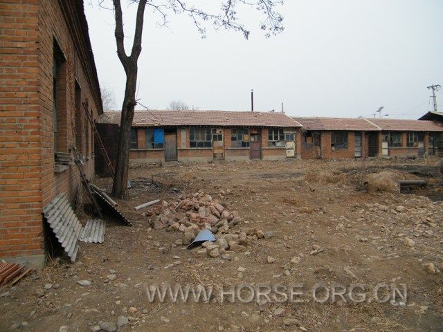 DSCF1521.JPG