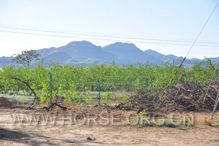 DSC_0059.JPG