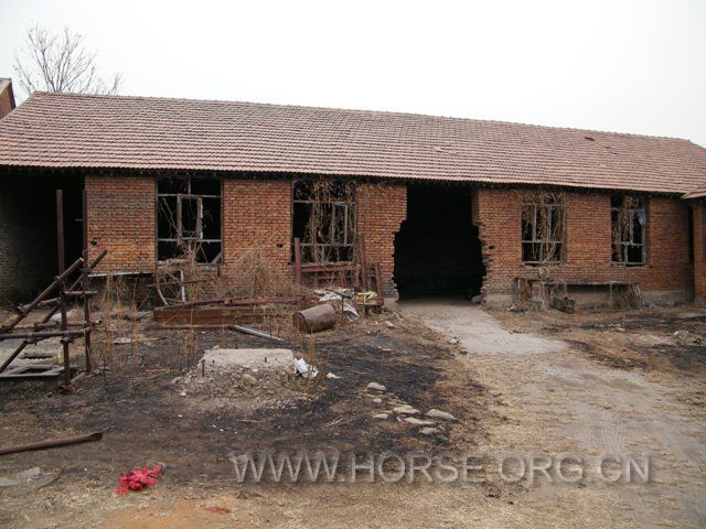 DSCF1525.JPG
