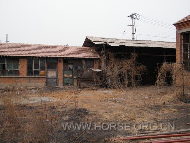 DSCF1529.JPG