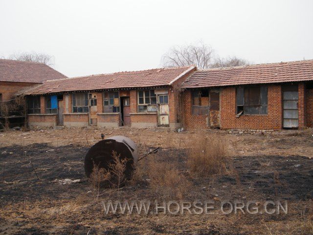 DSCF1530.JPG