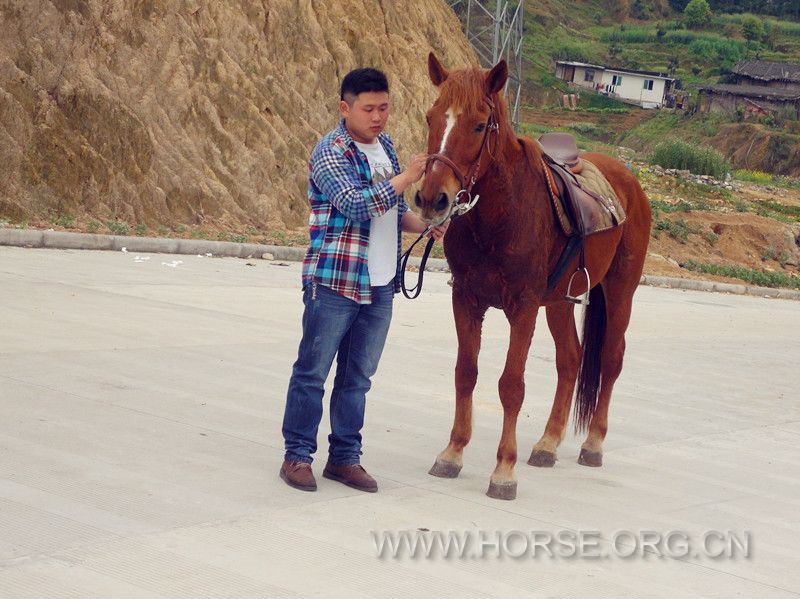 dsc05906_副本.jpg