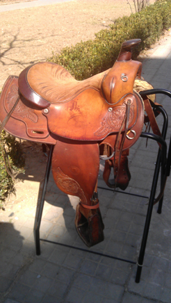 IMAG0313.jpg