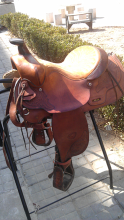 IMAG0316.jpg