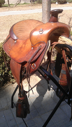 IMAG0314.jpg