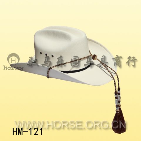 HM121.jpg