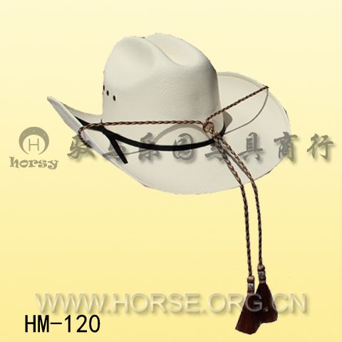 HM120A.jpg