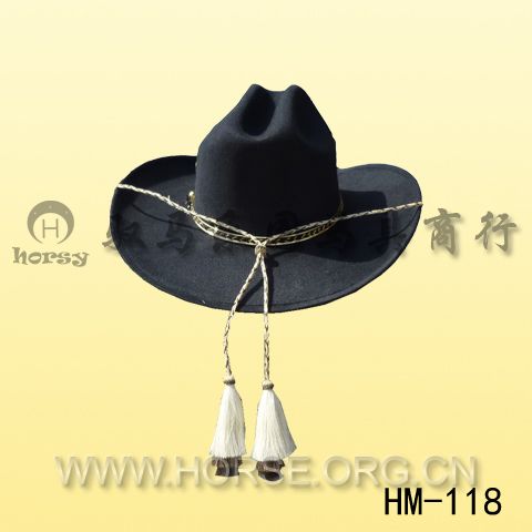 HM118.jpg