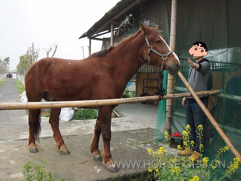 3_副本.jpg