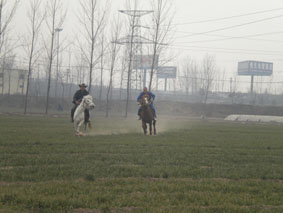 DSCN2972.jpg