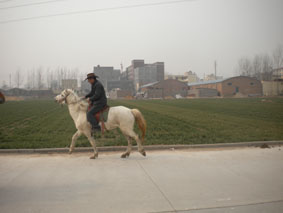 DSCN2971.jpg