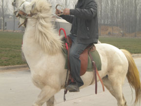 DSCN2975.jpg