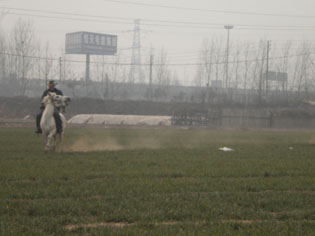 DSCN2978.jpg
