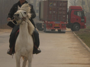 DSCN2979.jpg