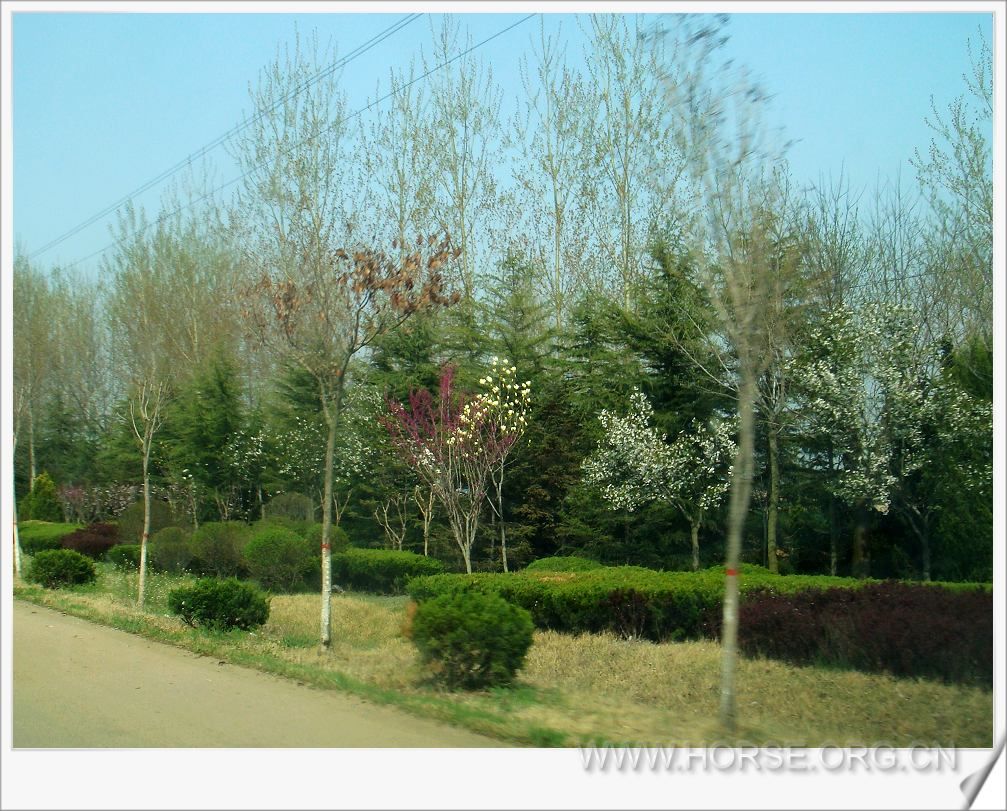 DSC08440_nEO_IMG.jpg