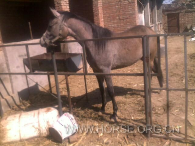 201203271250.jpg