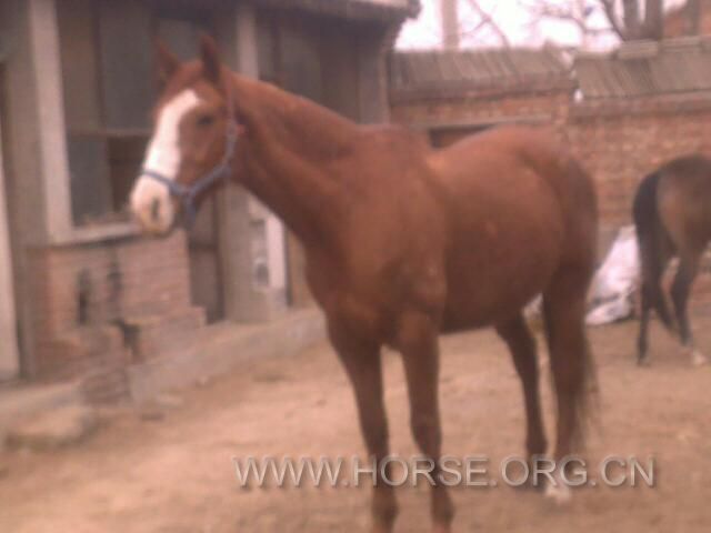 201204021299.jpg