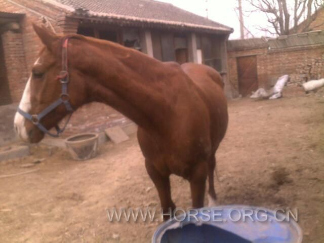 201204021303.jpg