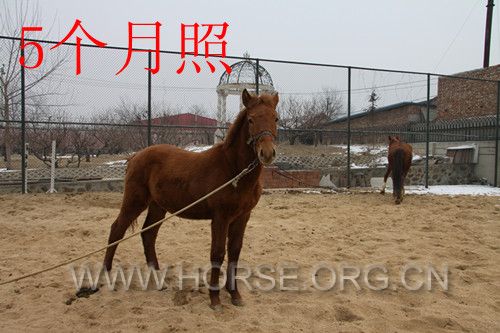 IMG_3395_副本.jpg