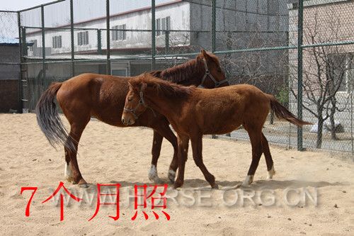 IMG_3418_副本.jpg