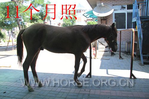 IMG_4206_副本.jpg