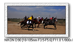 内蒙古呼和浩特5.4青年节在蒙古风情园举办赛马