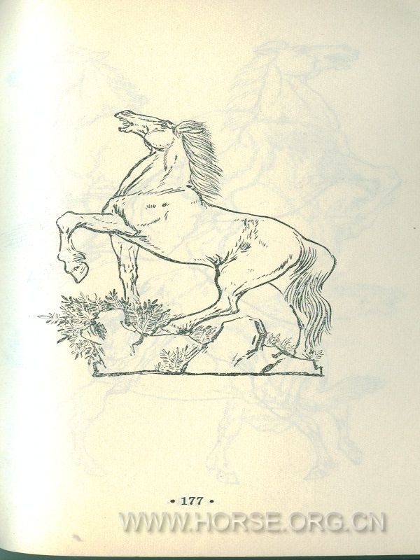 176.jpg