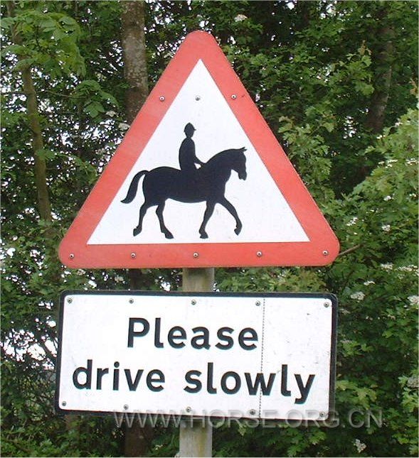 Road-sign-horse.jpg