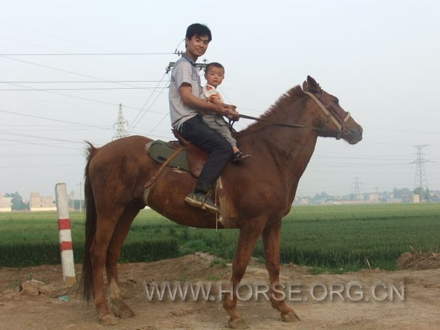 DSCF6275.JPG
