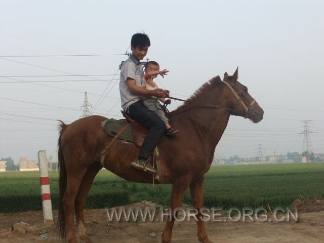 DSCF6276.JPG