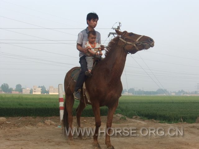DSCF6273.JPG