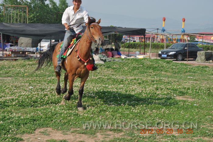 nEO_IMG_DSC_7352.jpg