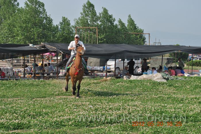 nEO_IMG_DSC_7351.jpg