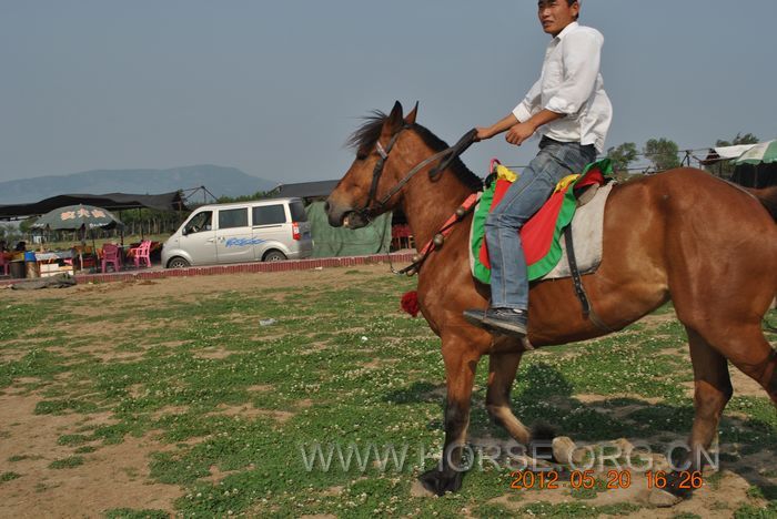 nEO_IMG_DSC_7354.jpg