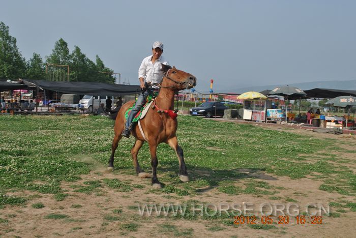 nEO_IMG_DSC_7357.jpg