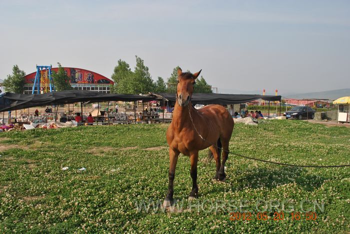 nEO_IMG_DSC_7358.jpg